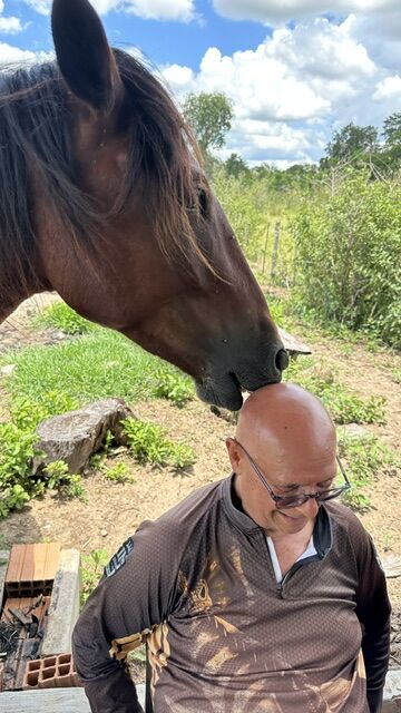 Cavalo apoiando a cabeça no topo da cabeça de uma pessoa