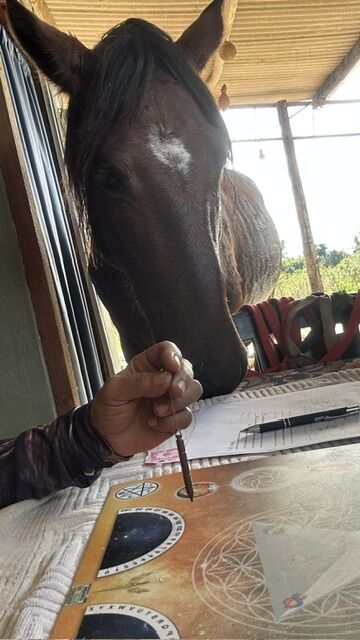 Cavalo observando com curiosidade um trabalho de pêndulo
