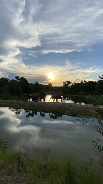 Cavalos em silhueta no pôr do sol, refletidos no lago do Recanto