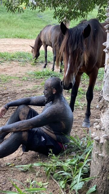 Pessoa em contato com a terra ao lado de um cavalo