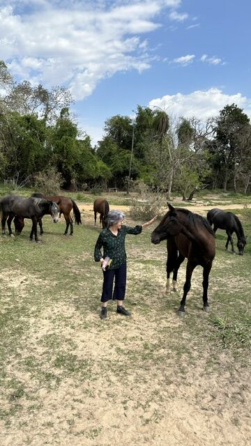 Luciana estendendo a mão para um cavalo no pasto
