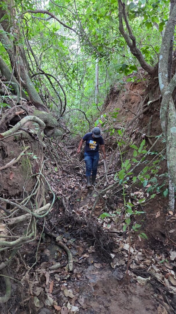 Pessoa descendo por uma trilha cercada de raízes dentro do Recanto Beija-Flor